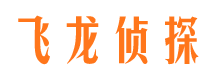 临西市婚姻调查